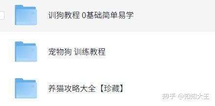 如何訓練貓不捕魚？