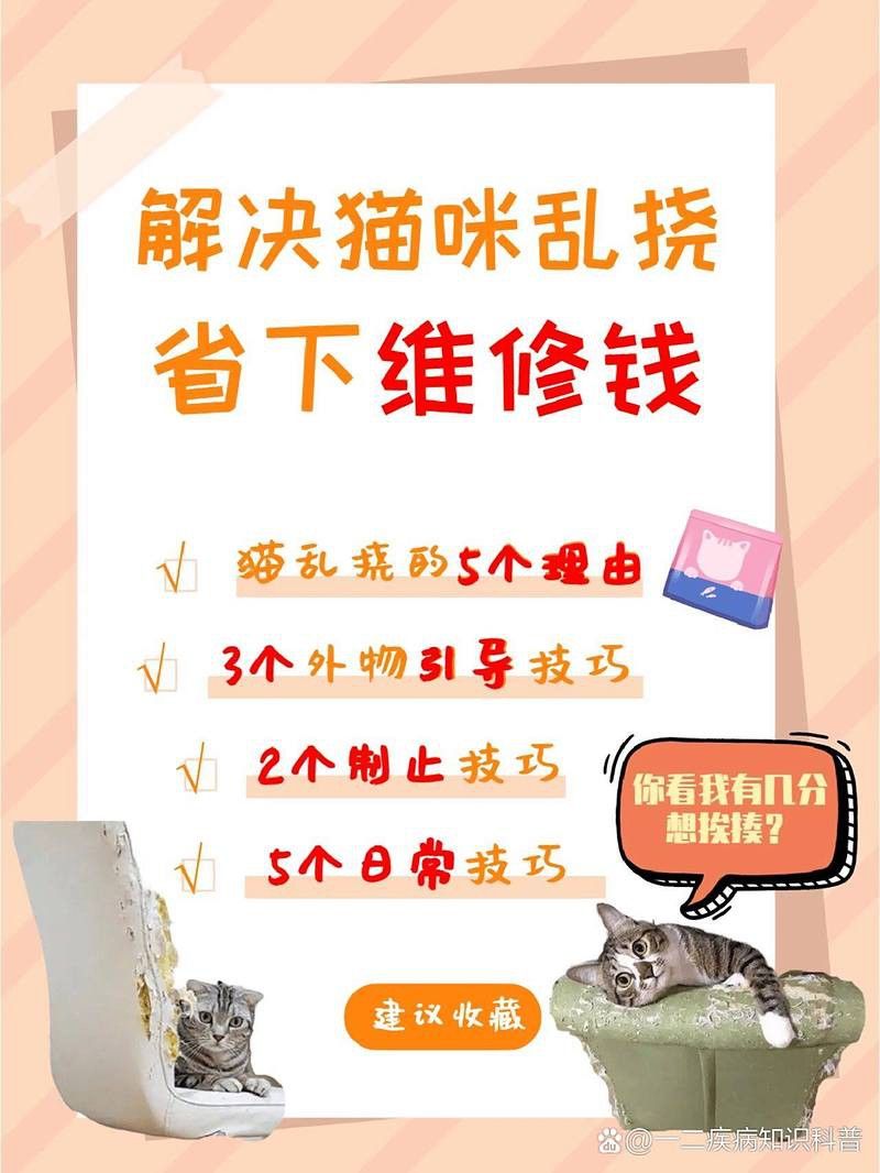 如何訓練貓不捕魚？