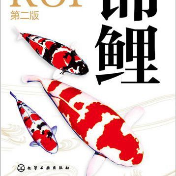 錦鯉愛好者論壇的最新版本更新內容