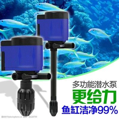 防止龍魚打架最有效方法（如何防止龍魚爭搶地盤打架）