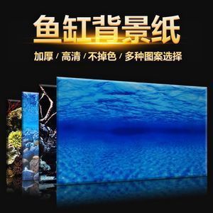 紅龍魚缸背景圖選擇哪種好看：紅龍魚缸背景圖選擇哪種好看紅龍魚缸背景圖選擇哪種好看