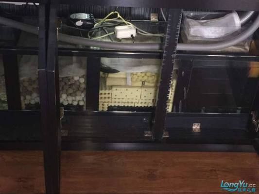 龍魚缸底濾濾材擺放：龍魚缸底濾濾材的擺放對于水質和過濾效果至關重要