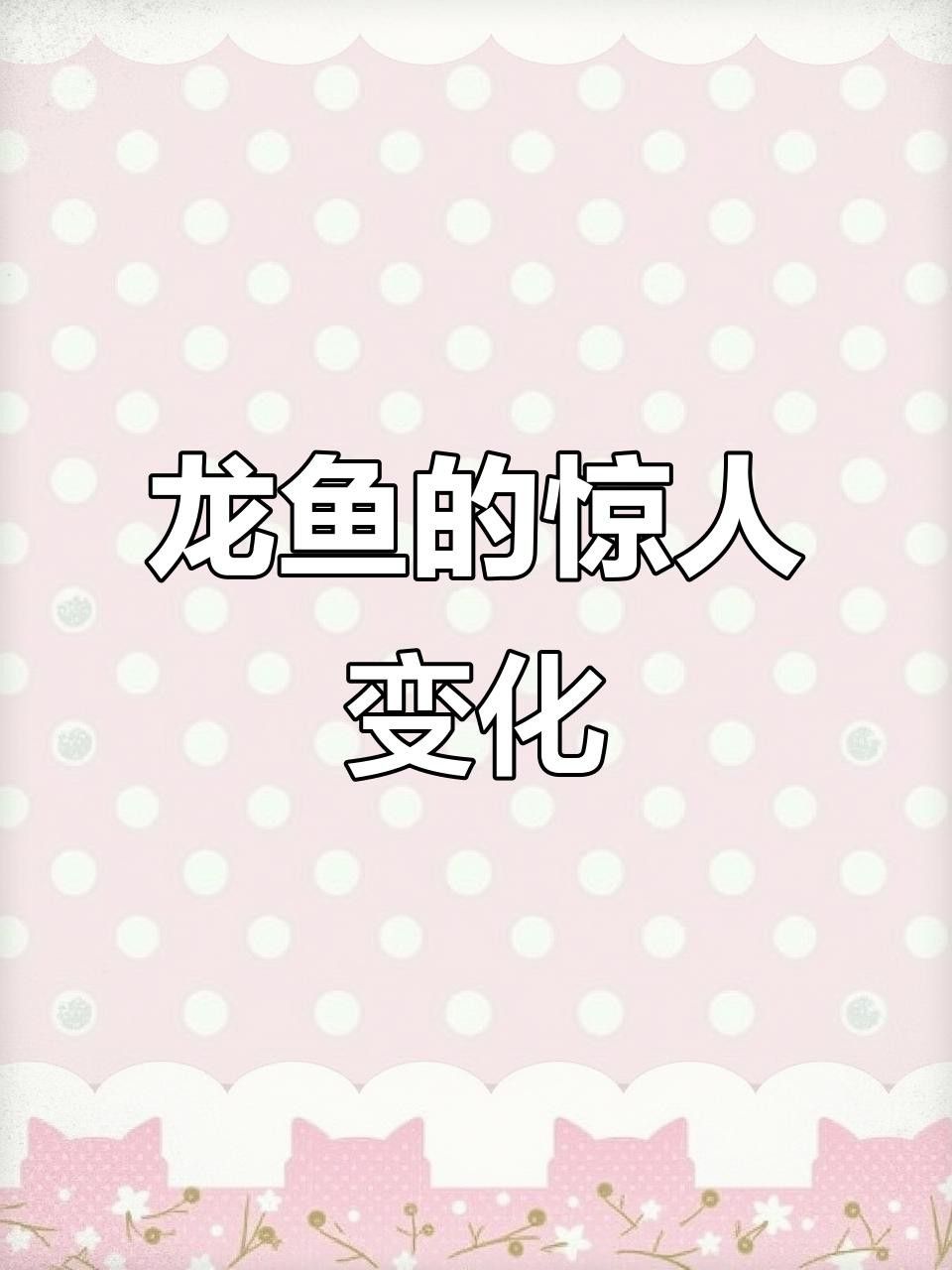 窄缸養龍魚需要注意哪些事項？ 窄缸養龍魚需要注意哪些事項？ 龍魚百科 第4張