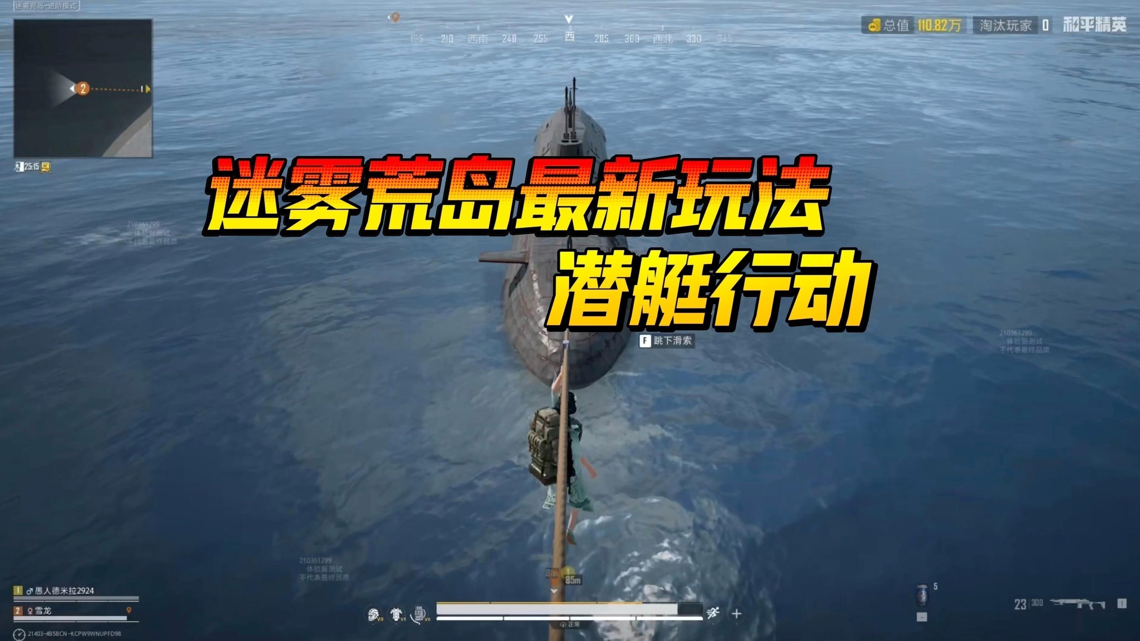 銀龍魚的圖片大全 銀龍魚的圖片大全 龍魚百科 第22張