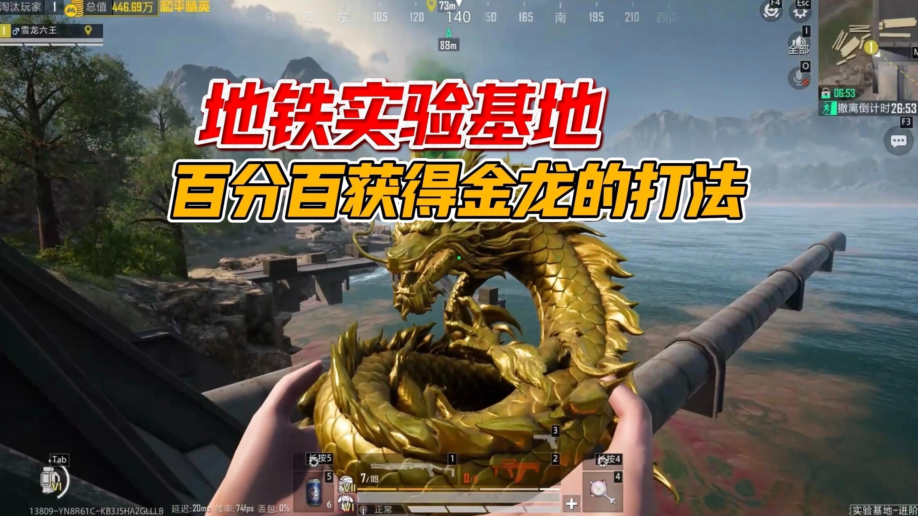 銀龍魚的圖片大全 銀龍魚的圖片大全 龍魚百科 第23張