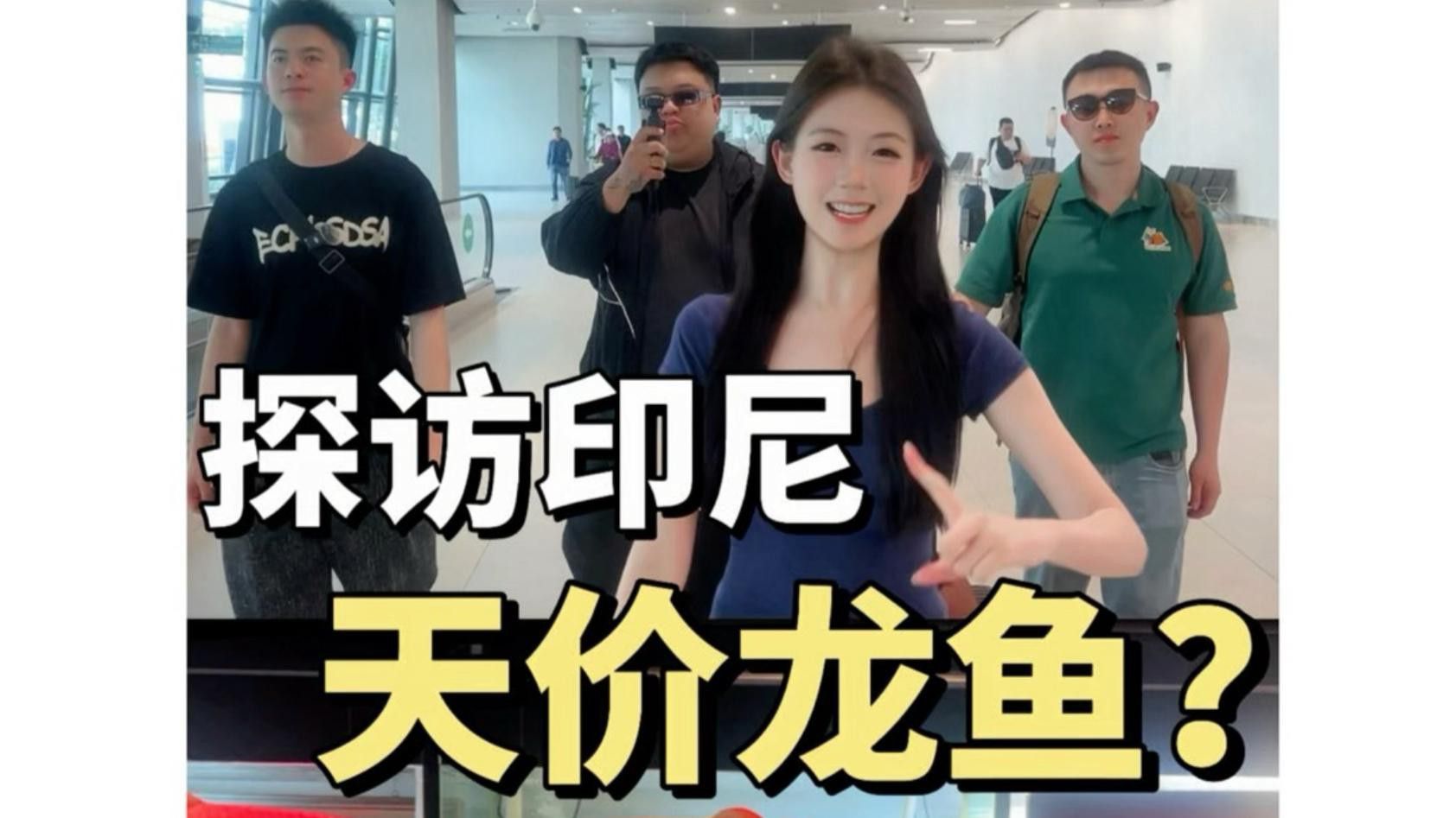 如何區(qū)分印尼紅龍與泰國紅龍？