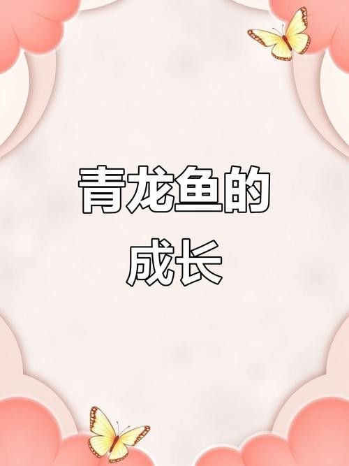 青龍魚長大后圖片視頻欣賞 青龍魚長大后圖片視頻欣賞 龍魚百科 第17張