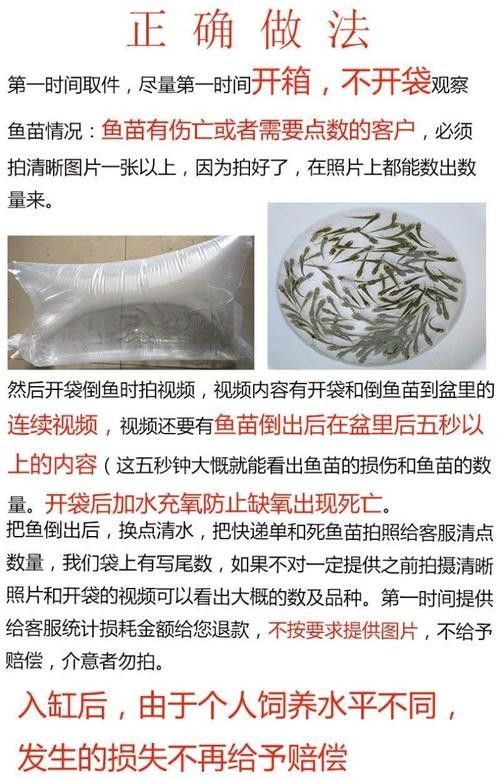 青龍魚長大后圖片視頻欣賞 青龍魚長大后圖片視頻欣賞 龍魚百科 第4張