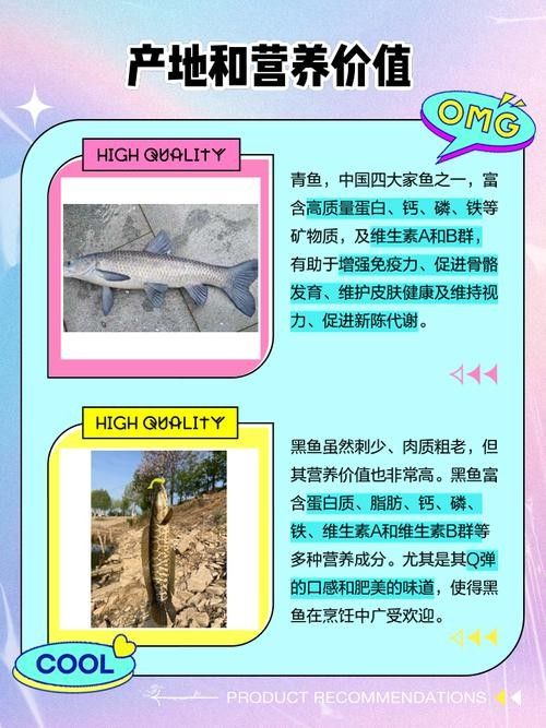 青龍魚長大后圖片視頻欣賞 青龍魚長大后圖片視頻欣賞 龍魚百科 第19張