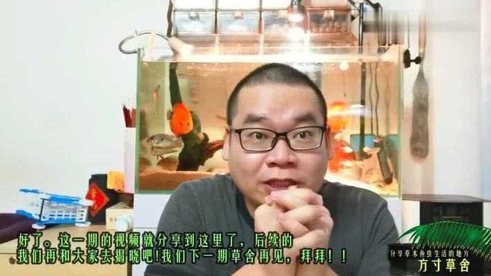 魚缸過濾羊絨棉好嗎（羊絨棉與其他過濾材料比較如何正確清洗羊絨棉的使用壽命） 魚缸過濾羊絨棉好嗎（羊絨棉與其他過濾材料比較如何正確清洗羊絨棉的使用壽命） 龍魚百科 第1張