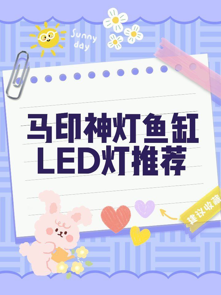 馬印增艷PLUS燈增色效果