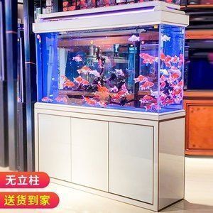 什么牌子龍魚缸性價比高：哪些品牌的龍魚缸性價比比較高