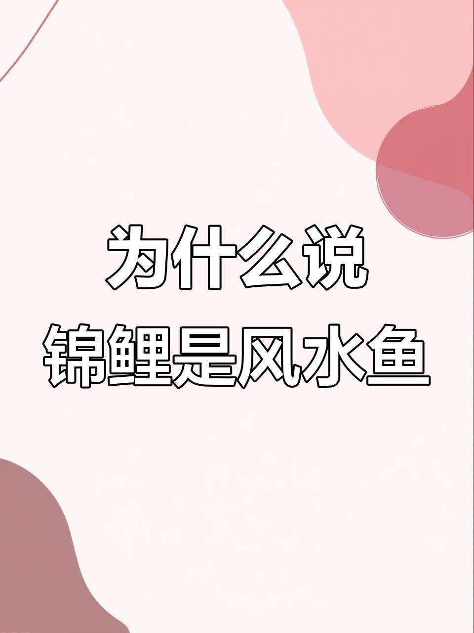 錦鯉一般養幾條最好