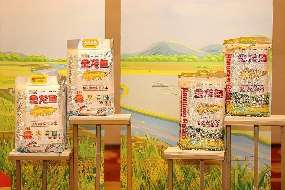 聚勢(shì)團(tuán)隊(duì)與金龍魚合作了哪些視頻？ 聚勢(shì)團(tuán)隊(duì)與金龍魚合作了哪些視頻？ 龍魚百科 第4張