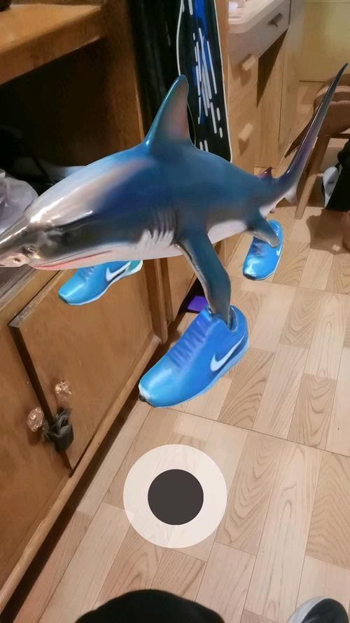 納克鯊魚圖片 納克鯊魚圖片 龍魚百科 第2張