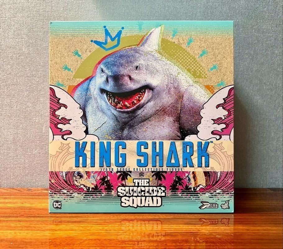 納克鯊魚圖片 納克鯊魚圖片 龍魚百科 第12張