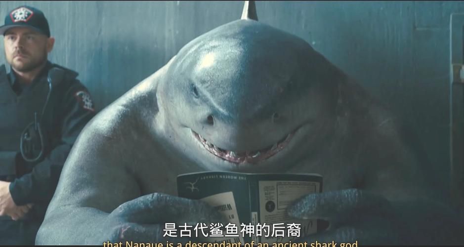 納克鯊魚圖片 納克鯊魚圖片 龍魚百科 第9張