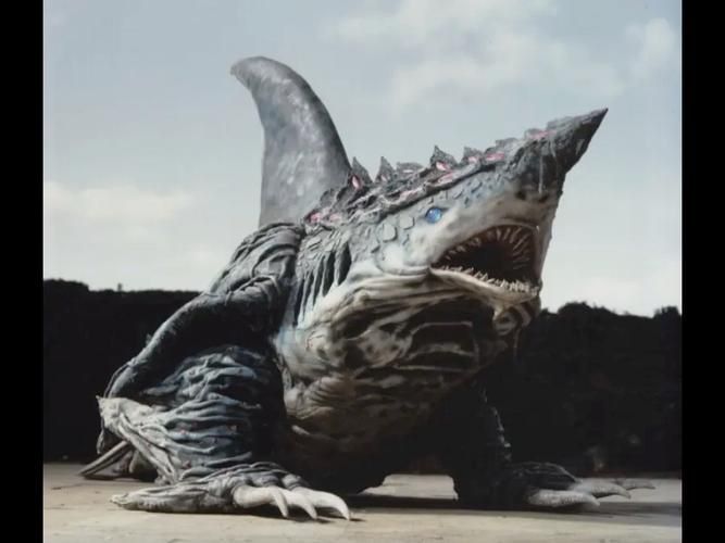 納克鯊魚圖片 納克鯊魚圖片 龍魚百科 第22張