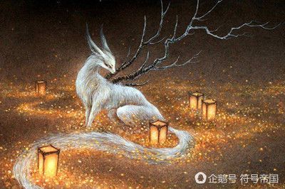 龍魚身上長白毛是怎么回事：如何預防龍魚身上長白毛