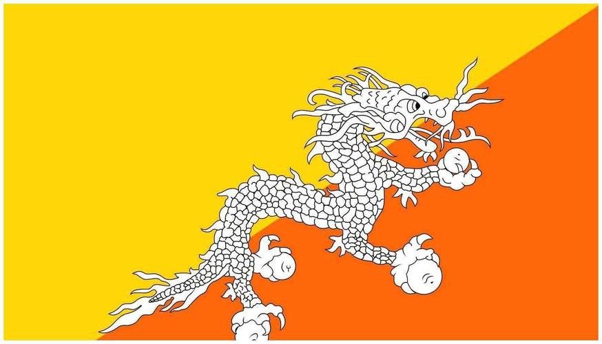 能否提供紅龍旗和黃龍旗的圖案？ 能否提供紅龍旗和黃龍旗的圖案？ 龍魚百科 第10張