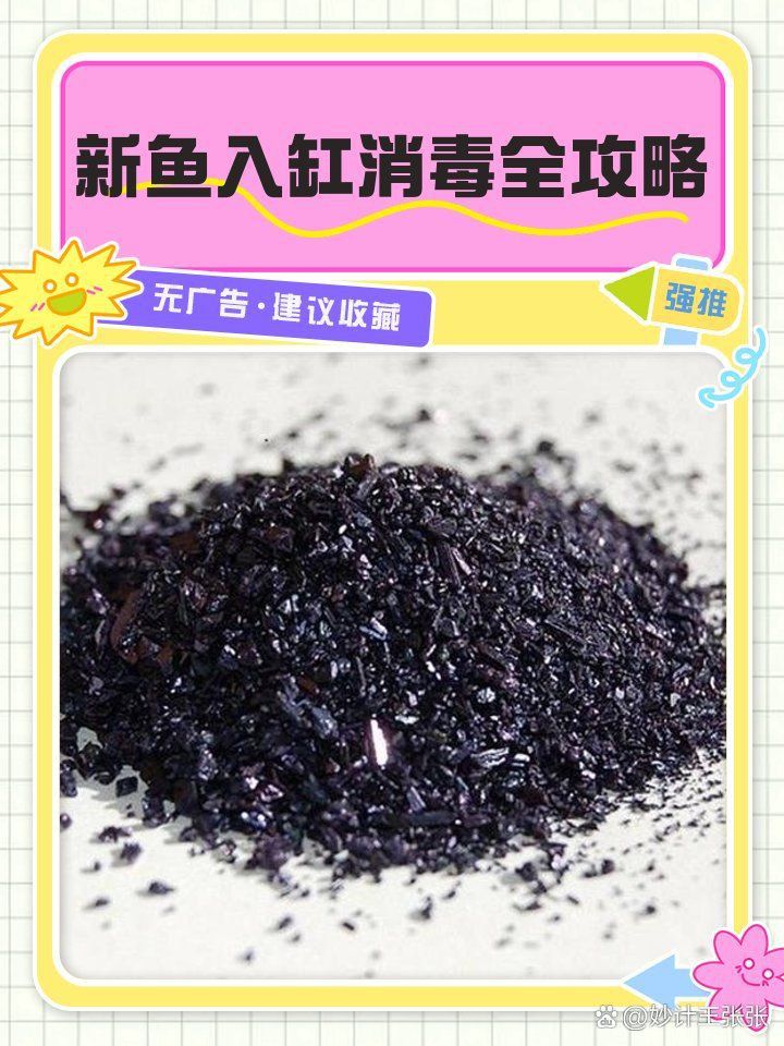 如何預(yù)防魚缸細(xì)菌感染？