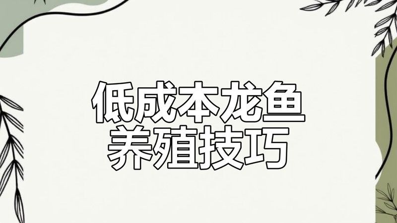 龍魚圖片真實照片