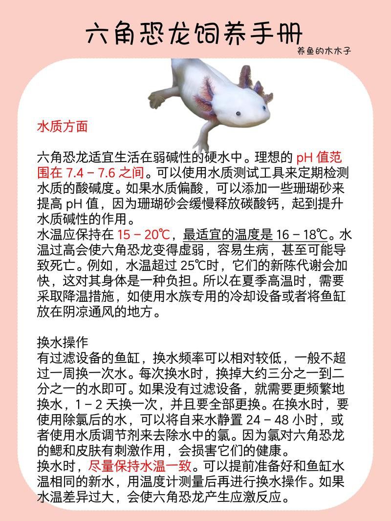恐龍魚品種大全圖片