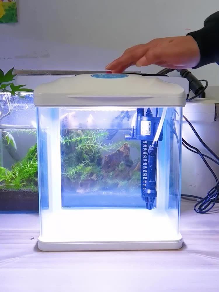 金龍魚專用燈可以用來植物光合作用嗎？