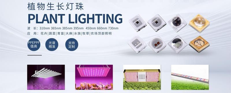 金龍魚專用燈可以用來植物光合作用嗎？