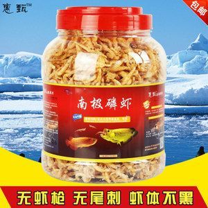 金龍魚吃什么食料最好養：金龍魚吃什么食物最好 金龍魚吃什么食料最好養：金龍魚吃什么食物最好 龍魚百科 第1張