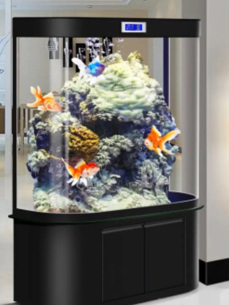 金魚死了是擋災嗎