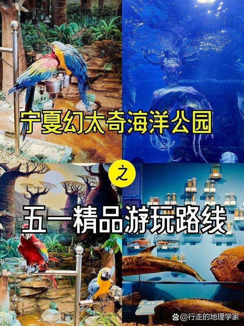 銀川水族批發(fā)市場買龍魚價格多少一斤