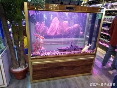 魚缸擺放的最佳位置辦公室，辦公室魚缸風水布局技巧 魚缸擺放的最佳位置辦公室，辦公室魚缸風水布局技巧 龍魚百科 第6張
