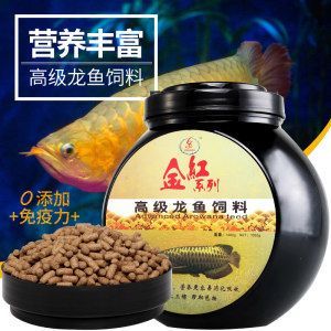 如何讓銀龍魚吃魚糧(怎樣讓銀龍魚吃魚糧) 龍魚百科 第1張 如何讓銀龍魚吃魚糧(怎樣讓銀龍魚吃魚糧) 如何讓銀龍魚吃魚糧(怎樣讓銀龍魚吃魚糧) 龍魚百科 第1張