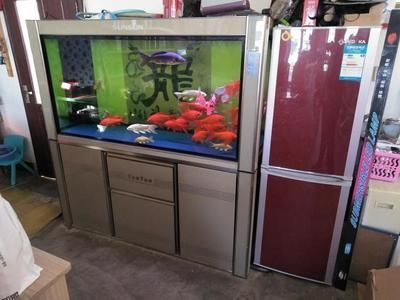 紅龍魚缸的最佳水位：紅龍魚缸的最佳水位應(yīng)該在40-60厘米之間
