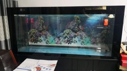 寶龍魚缸維修電話是多少（寶龍魚缸常見故障及解決方法）