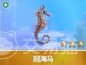 海馬中哪種最稀有？