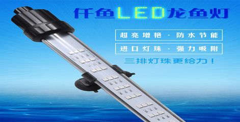 龍魚燈什么品牌的好一點：如何選擇龍魚燈