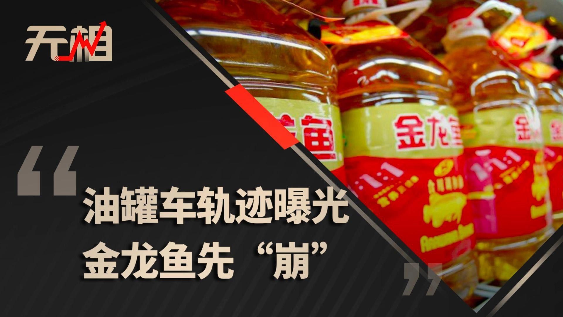 金龍魚的價格波動歷史是怎樣的？