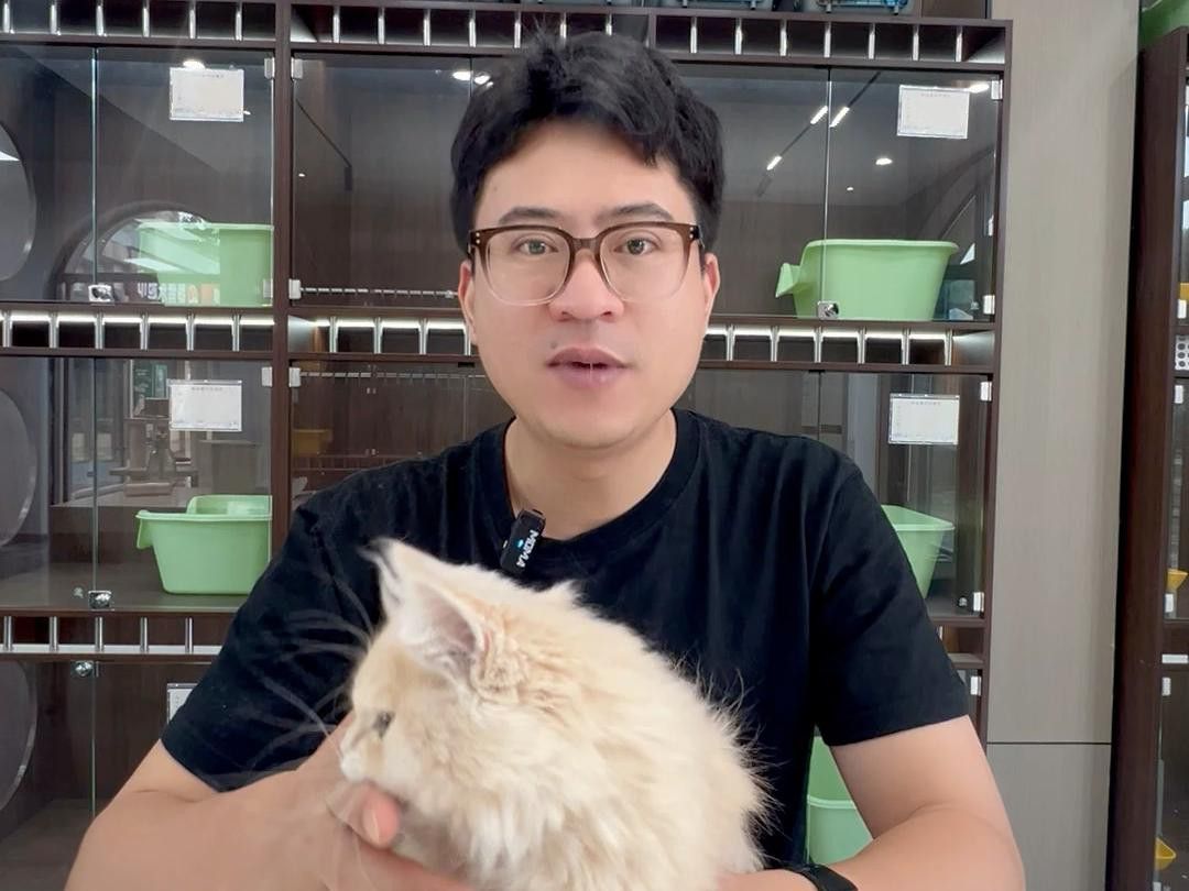 哪個品種更受歡迎？