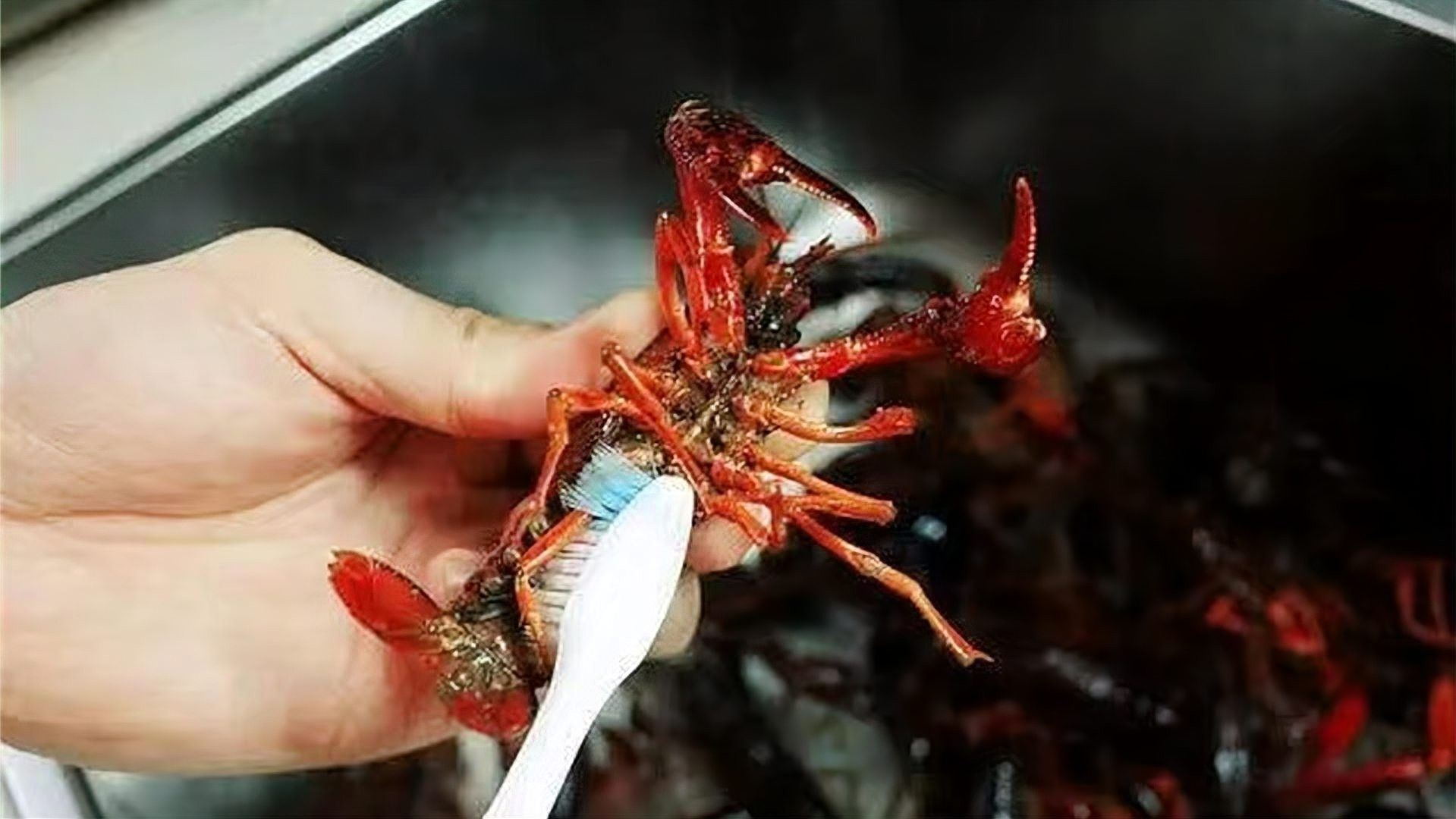 龍魚游起來無力：龍魚游動無力可能是由多種原因引起的 龍魚游起來無力：龍魚游動無力可能是由多種原因引起的 龍魚百科 第2張