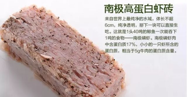 龍魚(yú)的魚(yú)鱗掉了一個(gè)可以恢復(fù)嗎:龍魚(yú)吃淡水蝦還是海蝦,龍魚(yú)吃淡水蝦還是海蝦吃蝦嗎