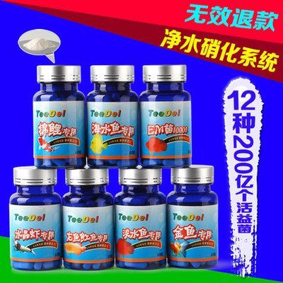 龍魚(yú)的魚(yú)鱗掉了一個(gè)可以恢復(fù)嗎:龍魚(yú)吃淡水蝦還是海蝦,龍魚(yú)吃淡水蝦還是海蝦吃蝦嗎