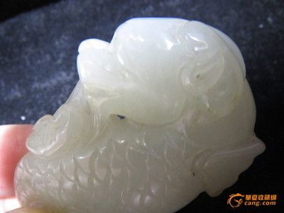白玉龍魚特點：白玉龍魚的特點