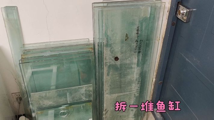 魚缸使用壽命多久最好呢，如何正確清潔魚缸延長魚缸壽命技巧