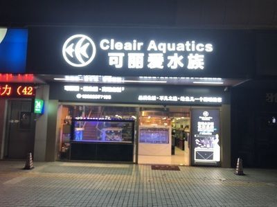 龍魚老孫水族用品店，龍魚老孫水族用品