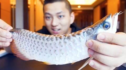 金龍魚被嚇到后怎么處理【金龍魚受驚后怎么處理】