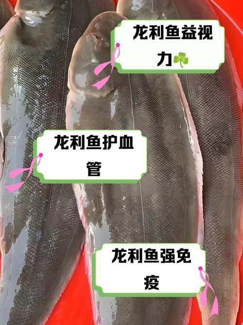 龍魚風水作用與禁忌圖片 龍魚風水作用與禁忌圖片 龍魚百科 第24張