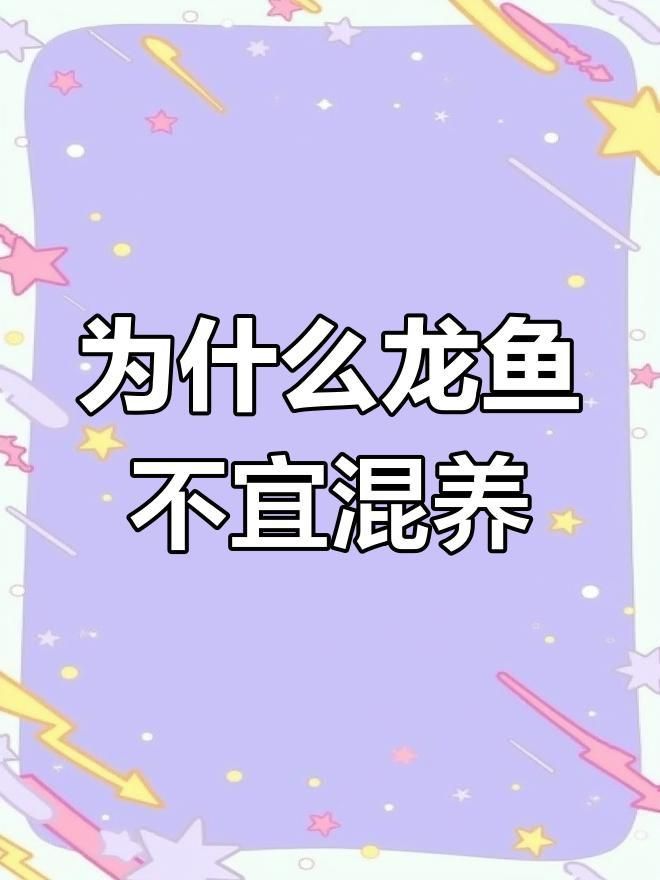 龍魚為什么不能養兩條