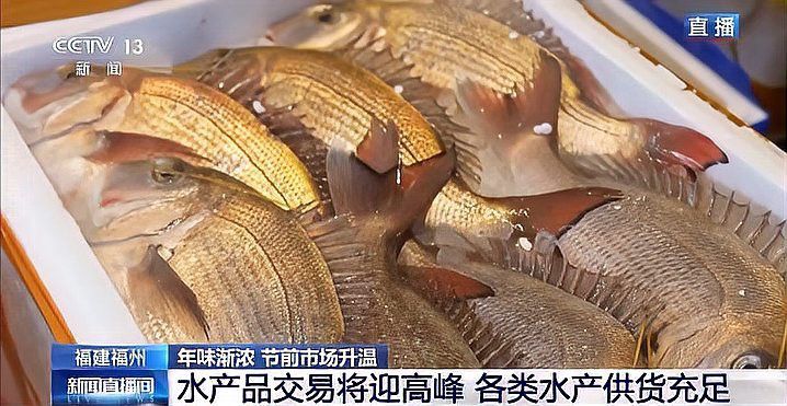 福州龍魚市場怎么樣啊現在 福州龍魚市場怎么樣啊現在 龍魚百科 第2張